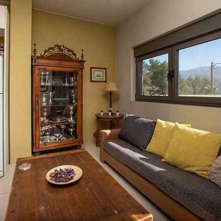 The Pine Flat Apartment Argostoli  Ngoại thất bức ảnh